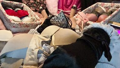 Masturbation of Transvestite with Bra On, Sniffing Bras, Fucking Bras & Cum in Bra POV 4 - 12 image