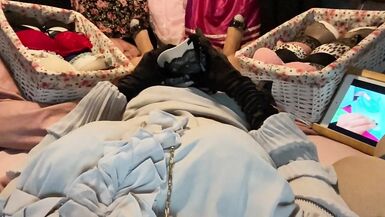 Masturbation of Transvestite with Bra On, Sniffing Bras, Fucking Bras & Cum in Bra POV 4 - 2 image