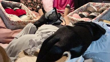 Masturbation of Transvestite with Bra On, Sniffing Bras, Fucking Bras & Cum in Bra POV 4 - 4 image