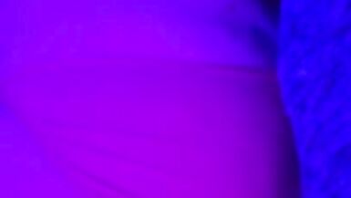 Amy needs your Alpha Cock - 7 image