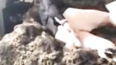 Hayden St. James Gets her Asshole Stretched Wide Open - 8 image