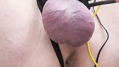 Chastity estim cum for cute sissy - 2 image