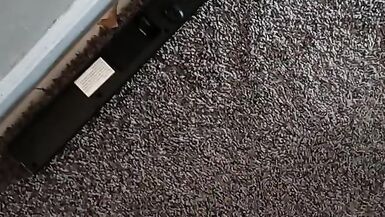 Tight Pussy Huge Cock - 14 image