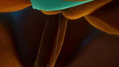 Priestess summoned Futa Demon | Egyptian Furry - 10 image