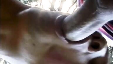 Bottom boy wraps lips around Brazilian fair-haired ts cock - 7 image