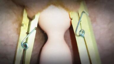 Clamping Myself and Masturbating To Orgasm A Pornhub Exclusive - 1 image