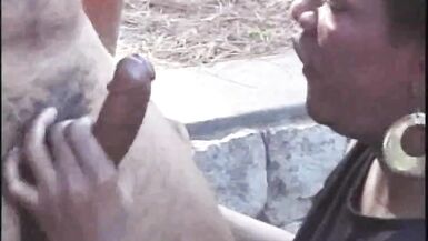 1141 ebony cougar transeuxel used by tiwnk in forest exhib c - 5 image