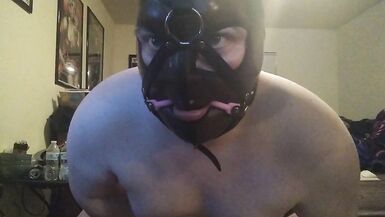 Rubber Angel - Kitty plays with her wand - 9 image