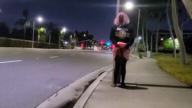 Pinkyfoot Public Walk - 10 image