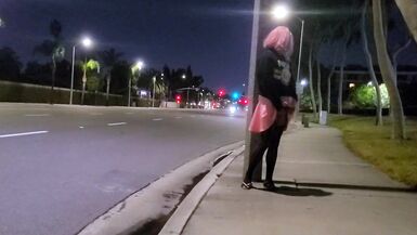 Pinkyfoot Public Walk - 11 image