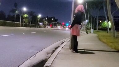 Pinkyfoot Public Walk - 12 image