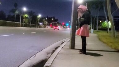 Pinkyfoot Public Walk - 14 image