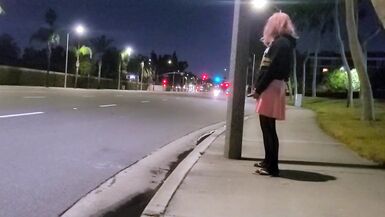 Pinkyfoot Public Walk - 15 image