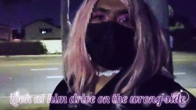 Pinkyfoot Public Walk - 2 image