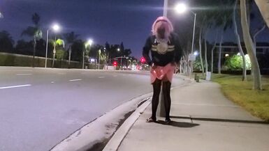 Pinkyfoot Public Walk - 4 image