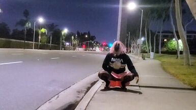 Pinkyfoot Public Walk - 5 image