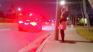 Pinkyfoot Public Walk - 7 image