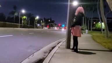 Pinkyfoot Public Walk - 8 image