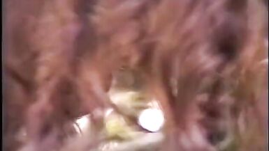 Redhaired and ravenheaded sunburnt t-gils enjoy having nasty - 9 image