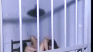 Lost Vintage Transexual Scenes - 11 image