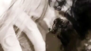 Clouded Discreet Public Sucking of a Black Penis - 7 image