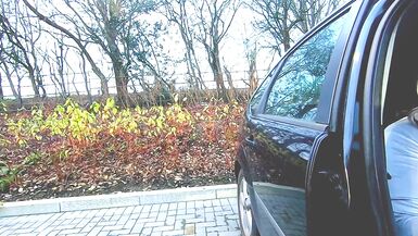 kelly cd having a horny carpark wank grey velvet dress - 4 image