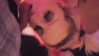 Boster Bitches Playing with dick - 3 image