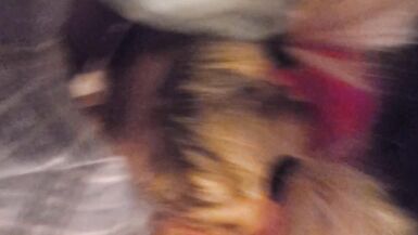 Boster Bitches Playing with dick - 6 image