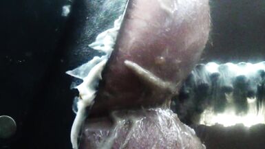 HARDCORE BDSM FISTING FROM PATTY 5 1 22 - 14 image