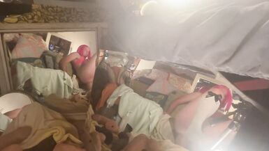 Pinky Mirror - 13 image