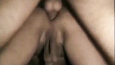 Latin Tilf & 2   Cocks - 11 image