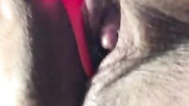 FTM bear chub cumming with my vibrator close up - 5 image