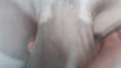 Giant shemale dick flopping in your face - 8 image