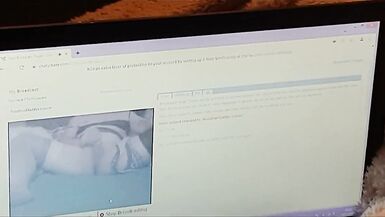 Sissy cam slut needs breeding - 12 image