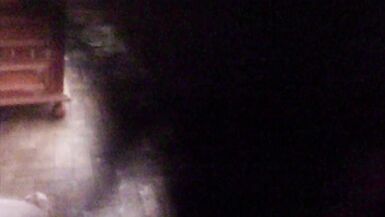 Exhibitionism and action 2 - 14 image