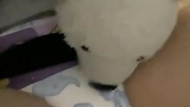 Fille trans fait pipi dans sa couche - 2 image