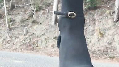 Cuash fetish to trample a stuffed animal in outdoor heel transvestite - 3 image