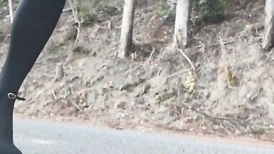 Cuash fetish to trample a stuffed animal in outdoor heel transvestite - 8 image