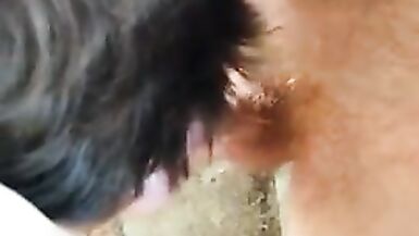 2 Guys fucking amateur sissy outdoors part 2 - 4 image