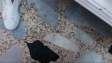 saraydollts cumshot compilation - 5 image