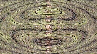 JohnnyBoyXo - Trannylicious (PMV) - 14 image