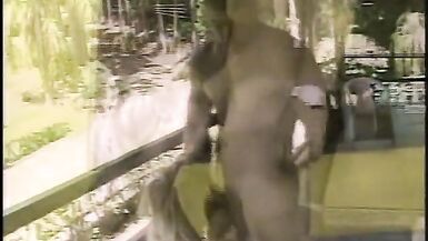 My Girlfriend is a Transexual with Huge Cock!!! - VOL. #35 - 12 image