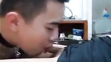 It's a trap! - 5 image