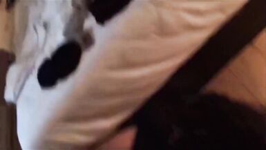 Asian Ladyboy pissing inside the mouth of a submissive faggot - 9 image