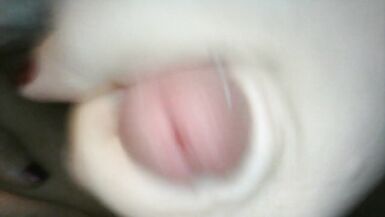 (TransErin) Super Closeup Of My Kitty Cumming my first Jerk of the New Year - 15 image