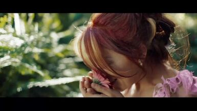 Various methods of becoming two..the great escape below - 1 image