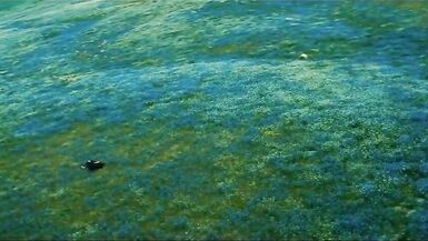 Various methods of becoming two..the great escape below - 3 image