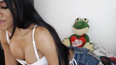 SLS webcam - 3 image