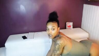 Sexy shemale 24 - 4 image