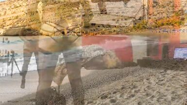 Leoapard lady Dress and Strip - 12 image